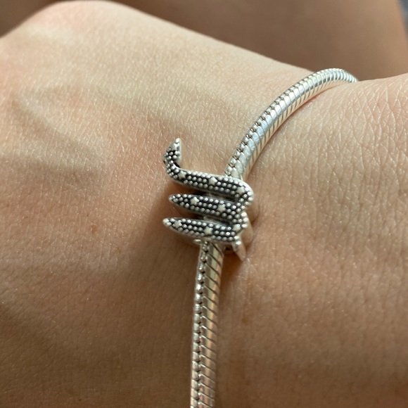 Authentic pandora bracelet with 4 charms✨💙 - Picture 5 of 6